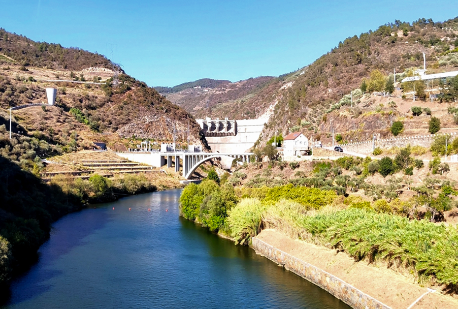 Dam in a green environment